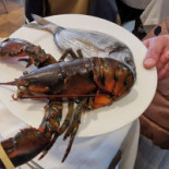 Dettagli Di Mare