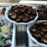 Dettagli Di Mare Nourriture