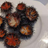 Dettagli Di Mare