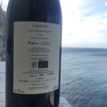 Caffè Dei Serafini Carte