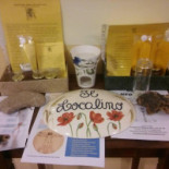 Bio Con Brio Carte