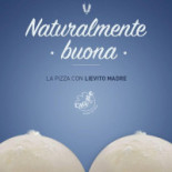 L'agave Carta