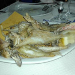 L'agave Comida
