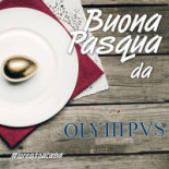Olympus Logo