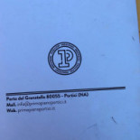 Primo Piano Logo