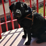Gigi S.r.l outside