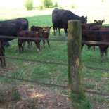 Bifarm Exterior