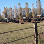 Bifarm Exterior