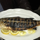 Trattoria Il Grottone food