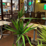 Elba Pizza&sfizi À l'intérieur