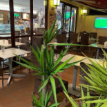 Elba Pizza&sfizi À l'intérieur