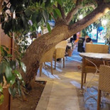 Federico's Extérieur