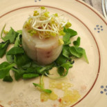 L'archibugio Bebida
