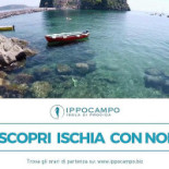 Ippocampo S.r.l Extérieur