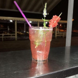 Ippocampo S.r.l Boisson