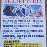 Ippocampo S.r.l Carta
