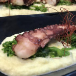 Nautilus Comida