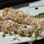 Nautilus Comida