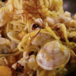 Nautilus Comida