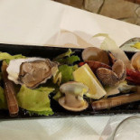 Nautilus Comida