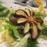 Nautilus Comida