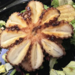 Nautilus Comida