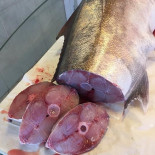 Dr. Fish food