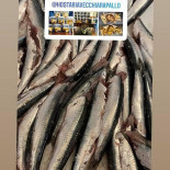 Hostaria Vecchia Rapallo Nourriture