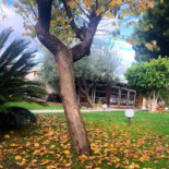 La Capanna Exterior