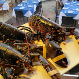 La Capanna Bebida
