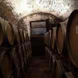 Domus Vini Dentro