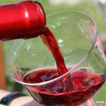 Domus Vini Bebida