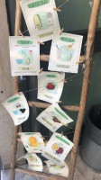 Verde Pistacchio menu