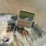 Fish Hub Boisson