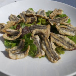 Mare Terra Comida