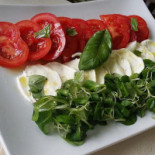 Mare Terra Bebida
