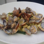 Mare Terra Comida
