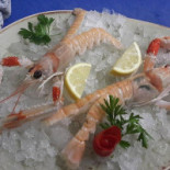 Mare Terra Comida