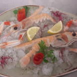Mare Terra Comida