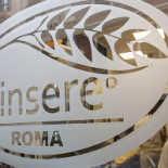 Pinsere Logo