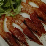 Le Fish Nourriture