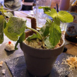 Ninkasi food