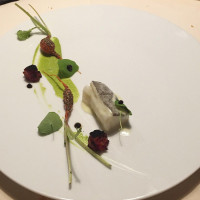 Metamorfosi drink