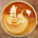 Akketta Nourriture
