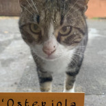 L'osteriola Boisson