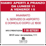 Terra Logo