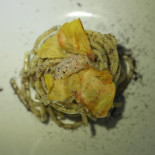Quanto Basta Slow Roma food