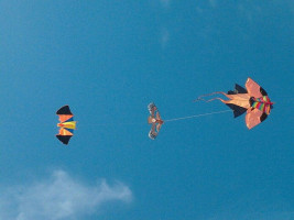 Gelateria Il Castello drink