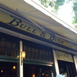 Bull Bush