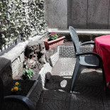 Bufala E Pachino Extérieur